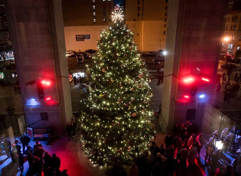 Overhead shot of the portico Christmas tree.