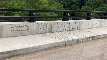 Photo of public art on Fern Hollow Bridge along the sidewalk and sidewall