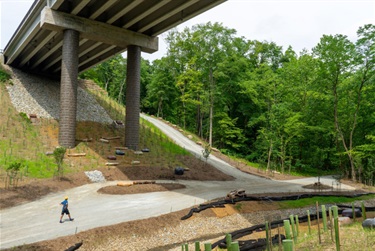 Photo of public art under the Fern Hollow Bridge