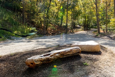 Photo of public art under the Fern Hollow Bridge