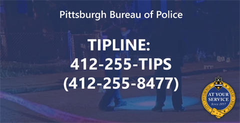 Tips line.png