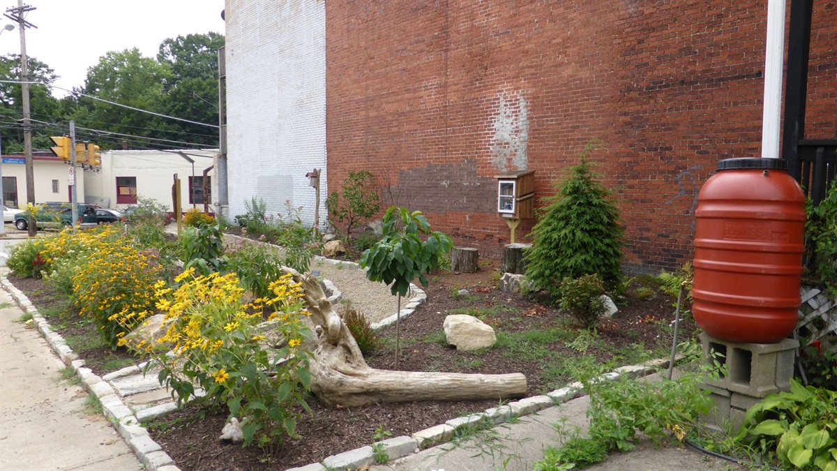 Adopt-A-Lot Program - Pittsburgh, PA