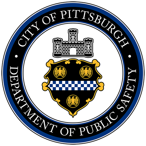 Department-of-Public-Safety-Seal